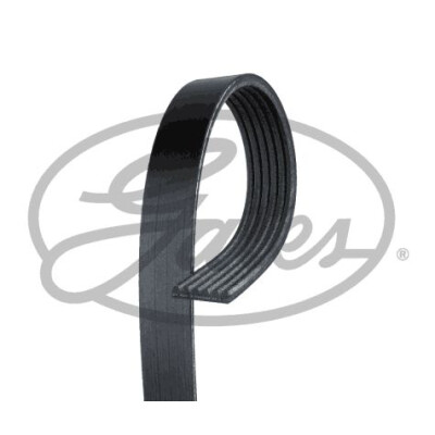 Courroie trapézoïdale poly-V GATES 6PK1610HD