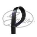 Courroie trapézoïdale à nervures GATES 8PK1190HD