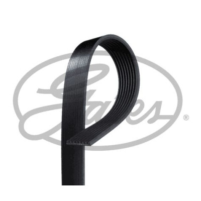 Courroie trapézoïdale poly-V GATES 8PK2143HD