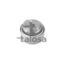 Support, moteur TALOSA 61-06869