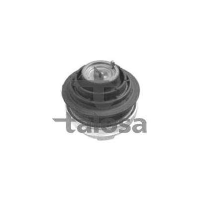 Support, moteur TALOSA 61-06871