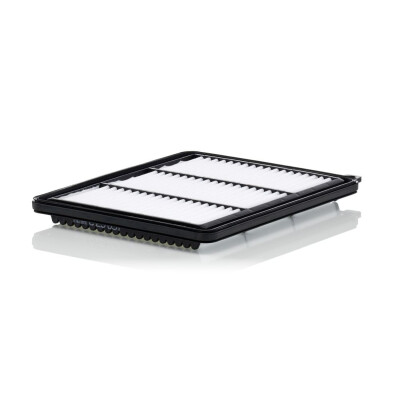 Filtre à air MANN-FILTER C 25 051