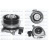 Pompe à eau, refroidissement moteur DOLZ A228V