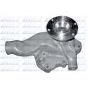 Pompe à eau, refroidissement moteur DOLZ M302