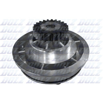 Pompe à eau, refroidissement moteur DOLZ R611