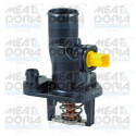 Thermostat, liquide de refroidissement