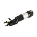 Amortisseur télescopique pneumatique ARNOTT AS-2785