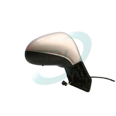 Rétroviseur extérieur SPJ E-2097