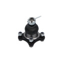 Rotule de suspension/charge KAVOPARTS SBJ-5508