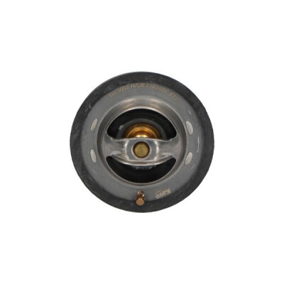 Thermostat, liquide de refroidissement KAVOPARTS TH-3002