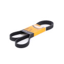 Courroie trapézoïdale ContiTech V-poly 6 PK 1580