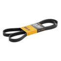 Courroie trapézoïdale ContiTech V-poly 6 PK 1642