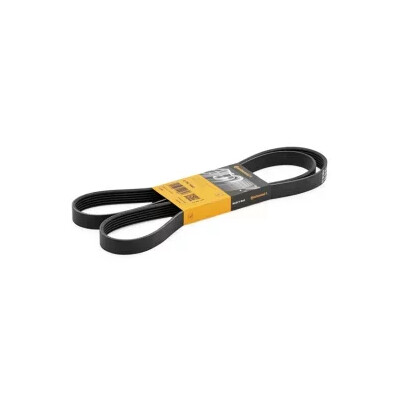 Courroie trapézoïdale ContiTech V-poly 6 PK 1642