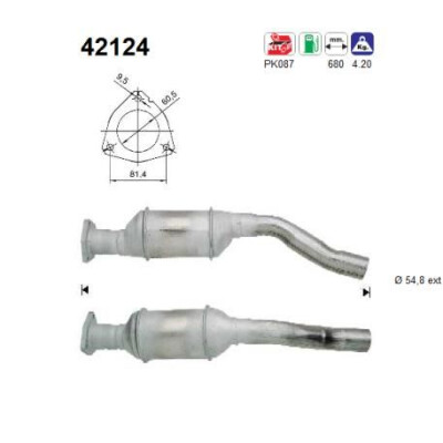 Catalyseur AS 42124