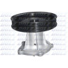 Pompe à eau, refroidissement moteur DOLZ O271