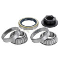 Kit roulement de roue SNR R152.64
