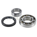 Kit roulement de roue SNR R177.15