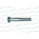 Vis TRICLO 674255