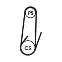 CONTINENTAL CTAM 4PK1022 ELAST courroie trapézoïdale en poly