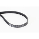 CONTINENTAL CTAM Courroie trapézoïdale poly-V 4PK1538