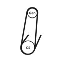 CONTINENTAL CTAM 4PK592 ELAST courroie trapézoïdale en poly