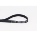 CONTINENTAL CTAM 4PK830 ELAST courroie trapézoïdale en poly