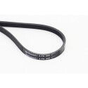 CONTINENTAL CTAM 4PK905 courroie trapézoïdale en poly