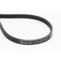 CONTINENTAL CTAM 4PK970 courroie trapézoïdale poly