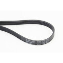 CONTINENTAL CTAM Courroie trapézoïdale poly-V 5PK1334