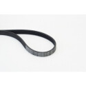 CONTINENTAL CTAM 5PK868 ELAST courroie trapézoïdale en poly
