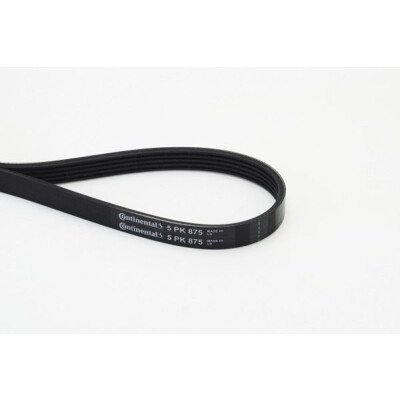 Courroie trapézoïdale CONTINENTAL CTAM 5PK875