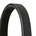 CONTINENTAL CTAM Courroie trapézoïdale poly-V 6DPK1853