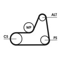 CONTINENTAL CTAM 6PK1042 ELAST courroie trapézoïdale en poly