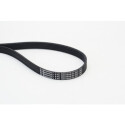 CONTINENTAL CTAM 6PK1059 ELAST courroie trapézoïdale en poly