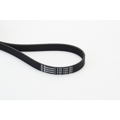 Courroie trapézoïdale CONTINENTAL CTAM 6PK1120