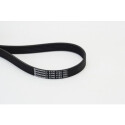 CONTINENTAL CTAM Courroie trapézoïdale poly-V 6PK1125