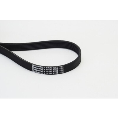 CONTINENTAL CTAM Courroie trapézoïdale poly-V 6PK1125