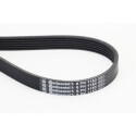CONTINENTAL CTAM Courroie trapézoïdale poly-V 6PK1153