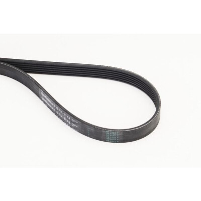 CONTINENTAL CTAM Courroie trapézoïdale poly-V 6PK1173