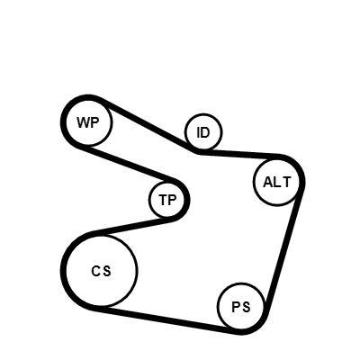 CONTINENTAL CTAM jeu de courroies trapézoïdales striées 6PK1538K2