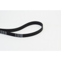 CONTINENTAL CTAM Courroie trapézoïdale poly-V 6PK1642