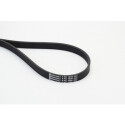 CONTINENTAL CTAM Courroie trapézoïdale poly-V 6PK1698