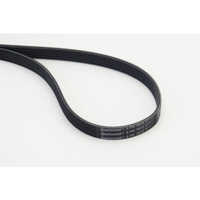 CONTINENTAL CTAM Courroie trapézoïdale poly-V 6PK1873