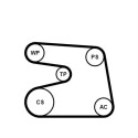Jeu de courroies trapézoïdales Continental CTAM 6PK1873K4