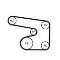 Jeu de courroies trapézoïdales Continental CTAM 6PK1900K1