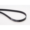 CONTINENTAL CTAM Courroie trapézoïdale poly-V 6PK2404