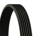 Courroie trapézoïdale CONTINENTAL CTAM 6PK836