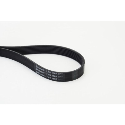 CONTINENTAL CTAM Courroie trapézoïdale poly-V 7PK1605