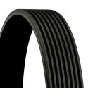 Courroie trapézoïdale CONTINENTAL CTAM 8PK1275