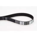 Courroie de distribution CONTINENTAL CTAM CT1035